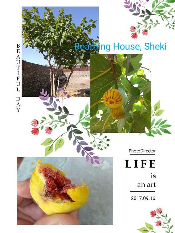 Beaming_House Hotel Şǝki Exterior foto